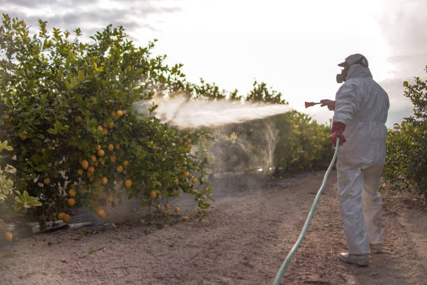 Best Pest Control Near Me  in Cambridge Springs, PA