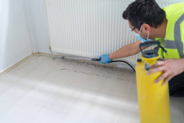 Best Best Pest Control Companies  in Cambridge Springs, PA