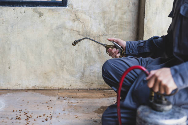 Best Wasp Removal Services  in Cambridge Springs, PA