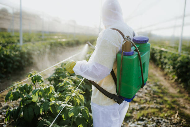 Best Termite Control Services  in Cambridge Springs, PA